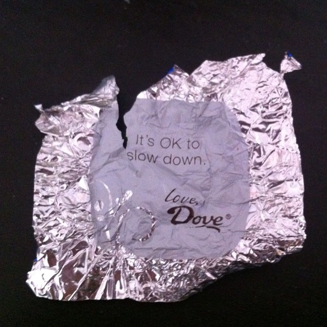 10686834_861789477166829_6453862799448288113_n