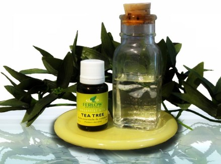 tea_tree_oil_web_1