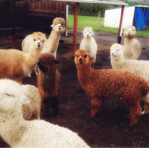 Screenshot_2015-06-26-15-54-07